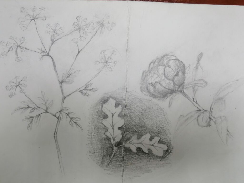 Живопись и рисунок для детей от 8 лет (71)